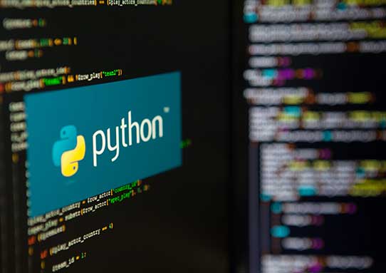 programmatore freelance python